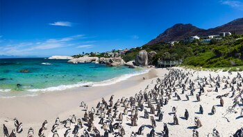 De acuerdo a los expertos