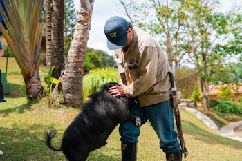 La presencia de animales como Julio en colegios de Medellín busca fomentar el respeto y la empatía hacia los seres vivos entre los estudiantes - crédito Alcaldía de Medellín