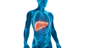 Cómo es el innovador modelo