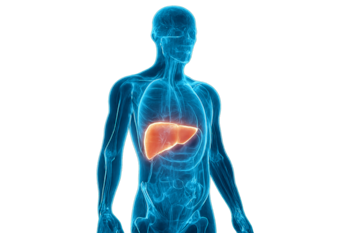 La técnica FRESH 3D bioprinting