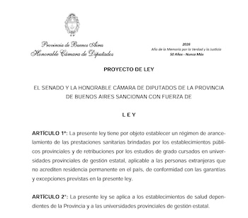 El proyecto presentado por el legislador bonaerense Agustín Romo en la Legislatura de la provincia de Buenos Aires