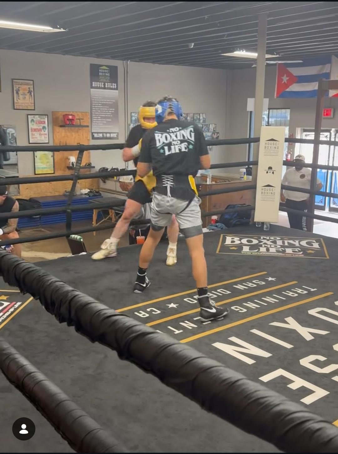 Álvarez ha contado con nuevos compañeros de entrenamiento (captura de pantalla)