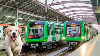 Metro de Lima registra retraso
