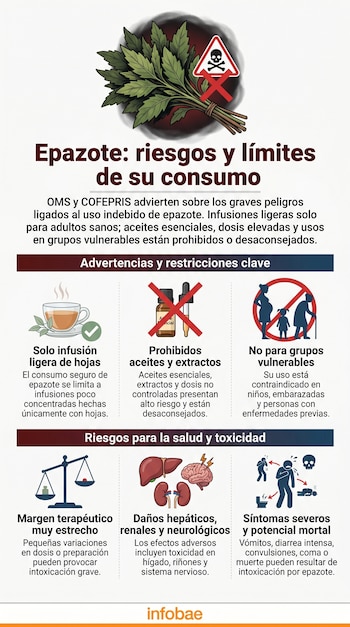 Infografía sobre el epazote con título 'Epazote: riesgos y límites de su consumo'. Muestra advertencias, restricciones clave y riesgos para la salud con iconos.