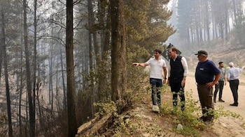 Ignacio Torres pedirá incorporar el