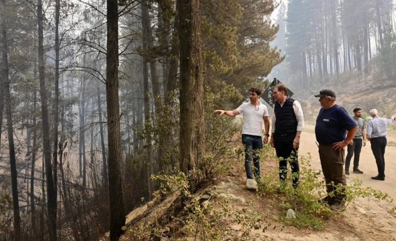 Torres mencionó la existencia de “violentos, con delirios revolucionarios y anarquistas que cometen estos delitos para repeler el turismo, generar caos y sembrar miedo en la comunidad”