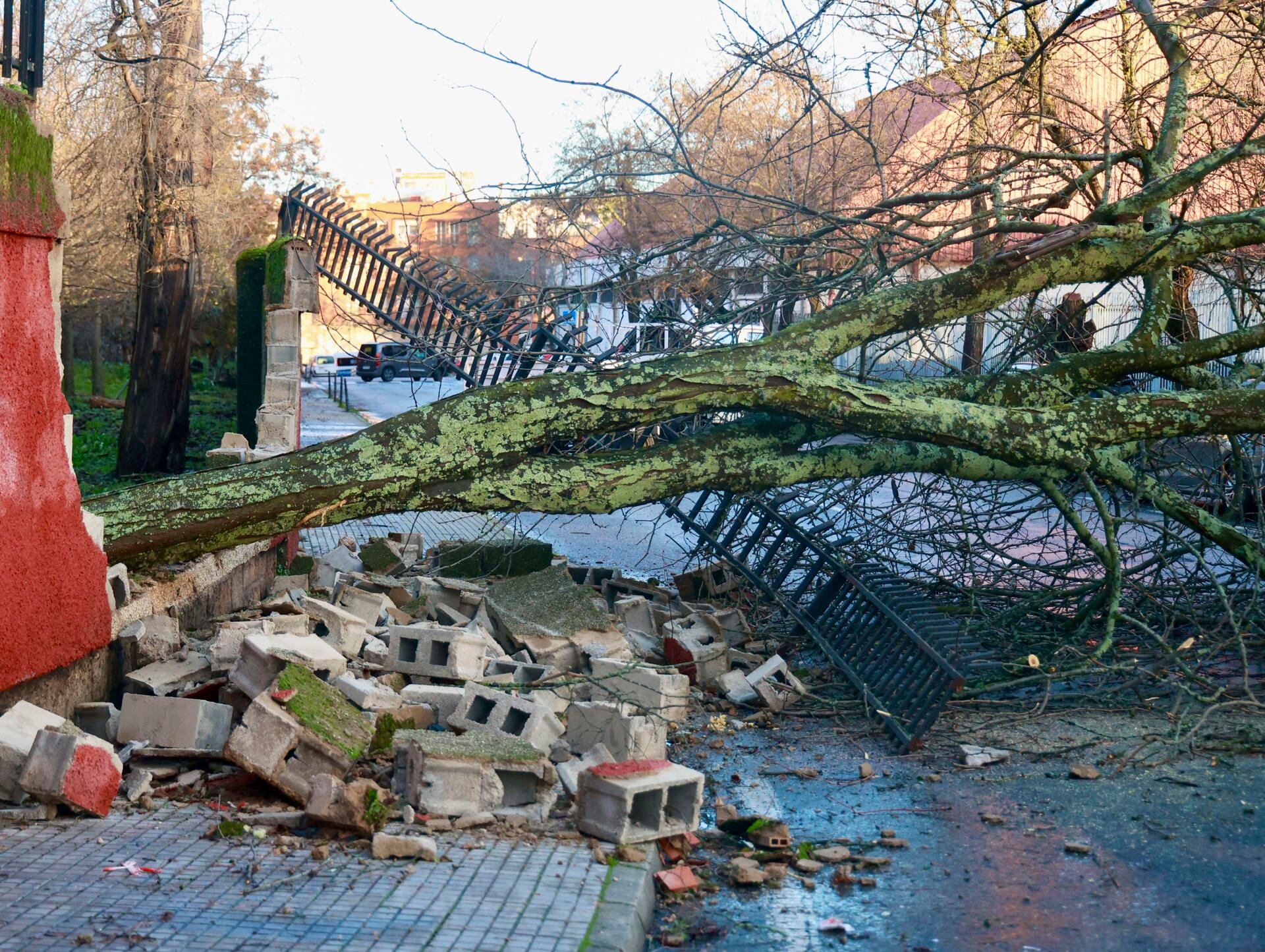 Temporal provoca caídas de cascotes de cornisas y árboles en Cáceres, uno en un instituto (EFE/ Eduardo Villanueva)