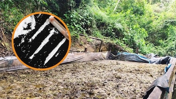 Golpe al narcotráfico en Huánuco: