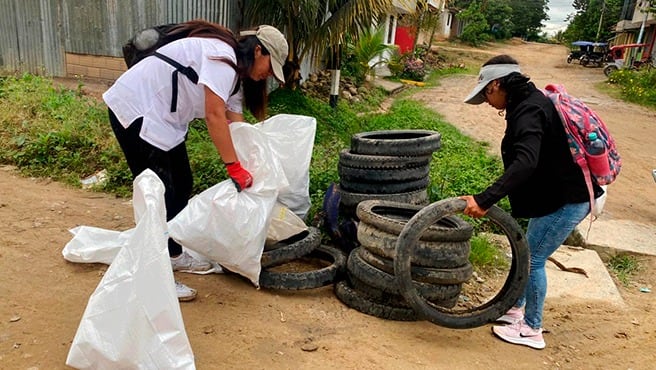 A nivel regional, 46 países y territorios reportaron casos de dengue en 2025.