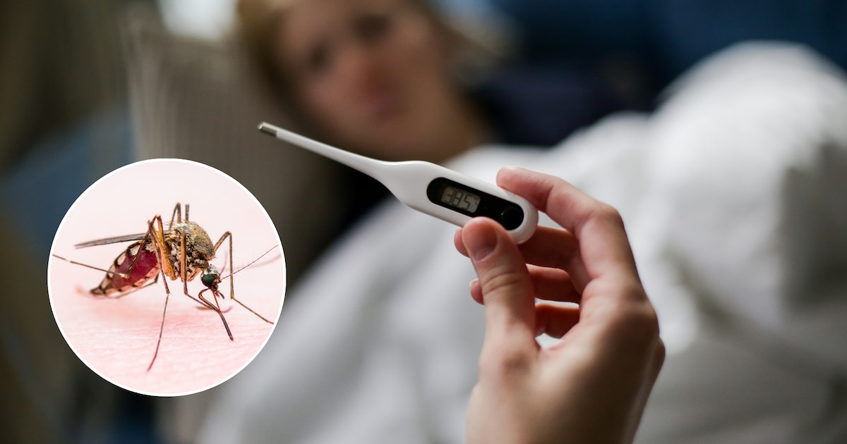 Alerta Amarilla en Argentina: Último Reporte Revela Aumento de Casos y Departamentos Afectados - ¡Vacúnate!