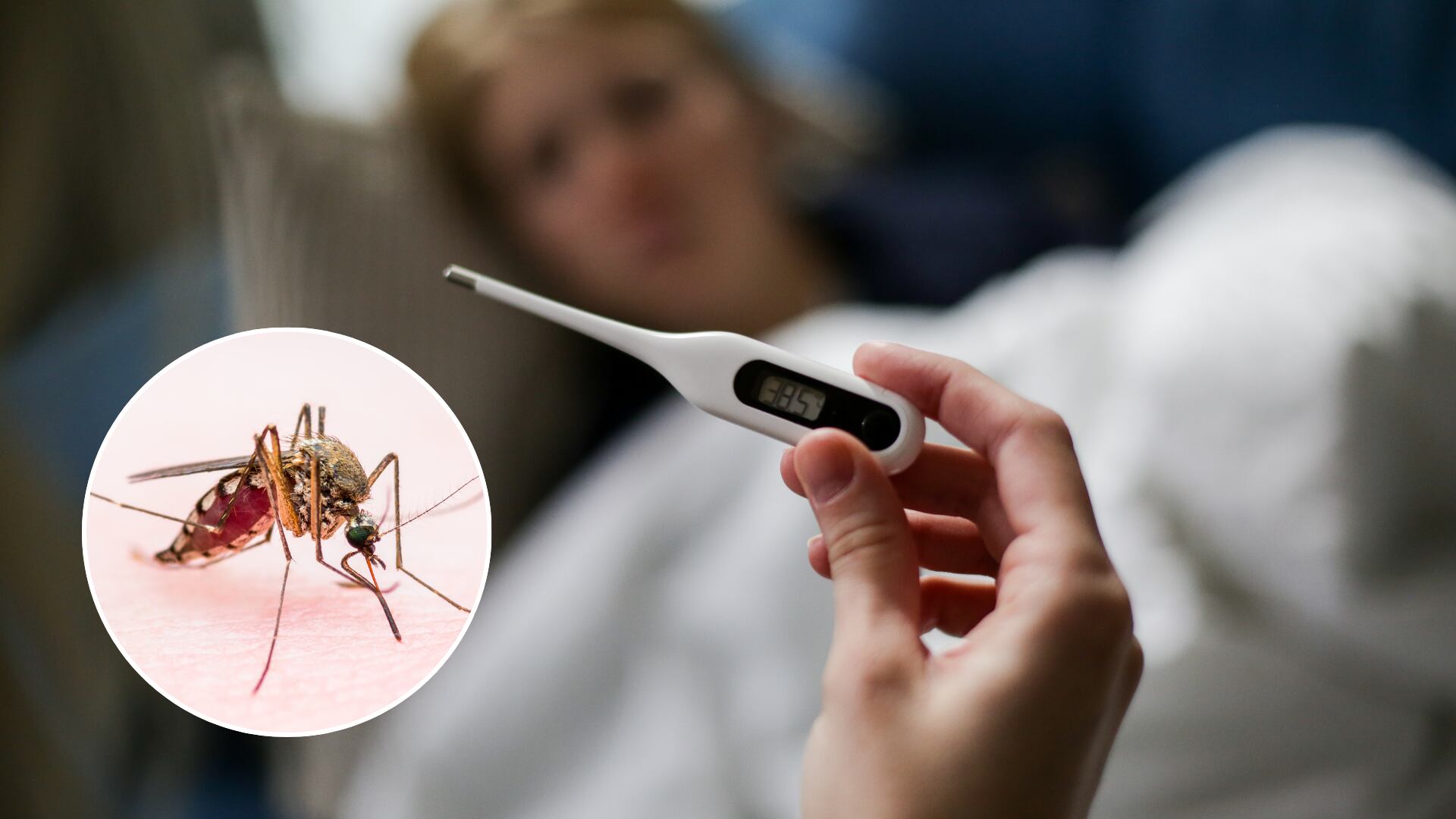 Autoridades de salud del Tolima intensificaron la vigilancia epidemiológica ante el brote activo de fiebre amarilla en varios municipios del departamento. - crédito Freepik