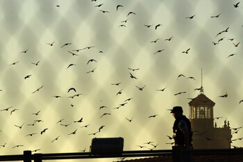 Argentina se encuentra entre las