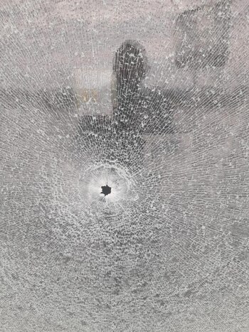 Empresas navieras experimentan incremento en