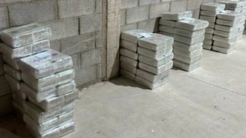 Decomiso millonario: autoridades aseguraron 172