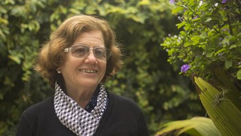 Un jardín y una historia