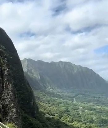 Gerhardt intentó asesinar a Arielle