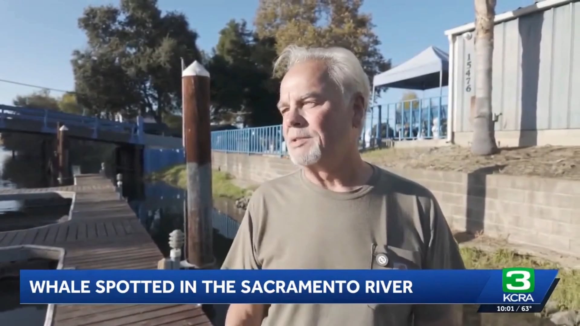 El pescador Denny Glover filmó a la ballena jorobada mientras emergía y se sumergía en el delta del Sacramento-San Joaquín (Captura de video: KCRA 3).