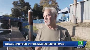 Un hombre canoso con camiseta verde habla frente a un embarcadero en un río, con un rótulo explicativo de televisión en la parte inferior