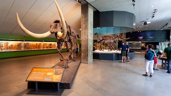 Estos dos importantes museos de Los Ángeles cerrarán sus puertas para prepararse para los Juegos Olímpicos