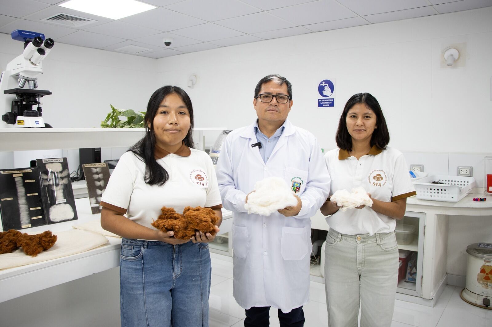 La nueva variedad busca impulsar el cultivo en Ica, cuya superficie algodonera cayó de 33.000 a unas 7.000 hectáreas. Foto: cortesía