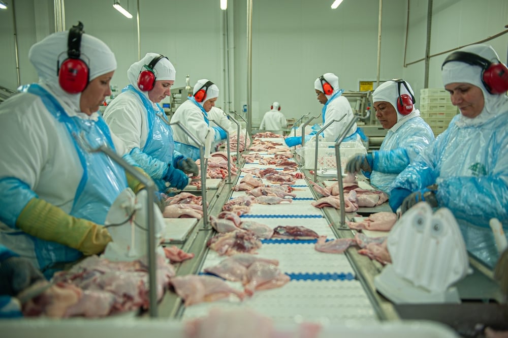 La habilitación alcanza a la carne aviar y sus derivados provenientes de aves faenadas a partir del 8 de septiembre (Foto: Shutterstock)