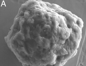 Grano presolar encontrado en el