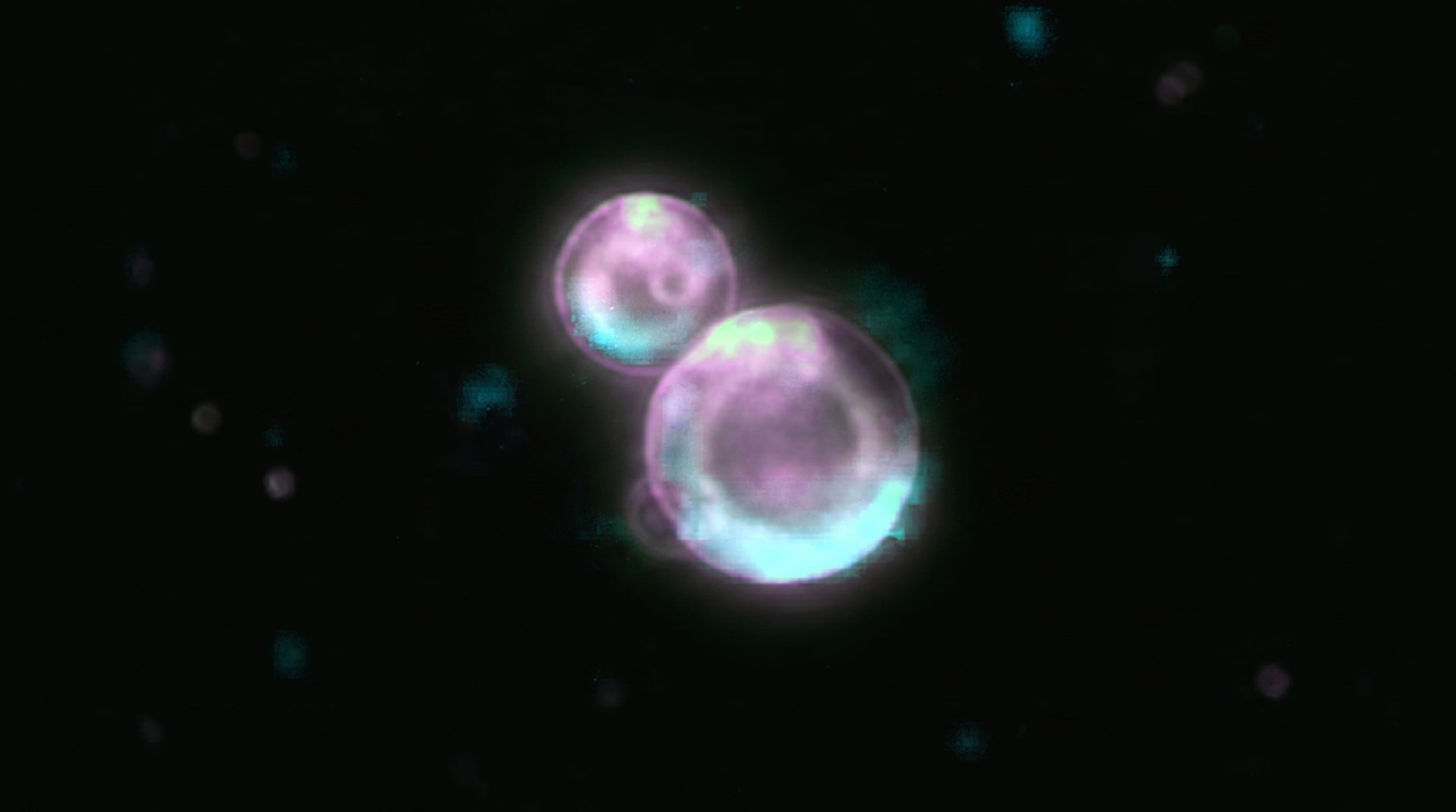 La SpudCell se diferencia de otros sistemas de biología sintética porque combina alimentación y división celular reguladas desde su genoma (Imagen Ilustrativa Infobae)