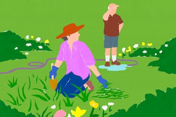 Imagen N2WNKE6S7NFZNEFLWZOXU7TJW4