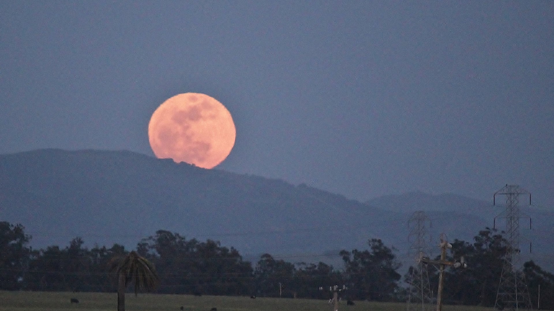 Experimentos demuestran que referencias como árboles o edificios en el horizonte aumentan el efecto de la ilusión lunar (Space)