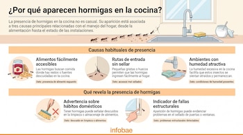 Infografía con texto sobre hormigas en la cocina. Muestra lavaplatos, ventana, grifo, esponja, azucarero, alimentos, hormigas, grietas, mano señalando y fregona.