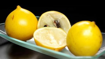 Una porción de caimito proporciona