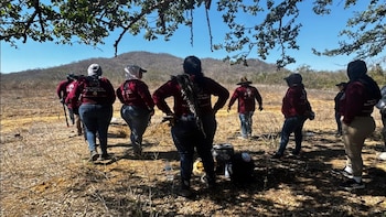 Colectivo reporta hallazgo de fosa