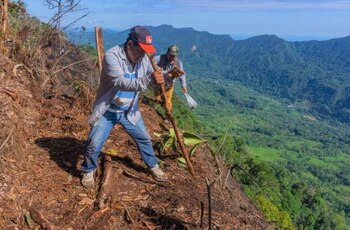 Siembran semillas para reforestar zona