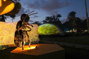 Imagen de una de las