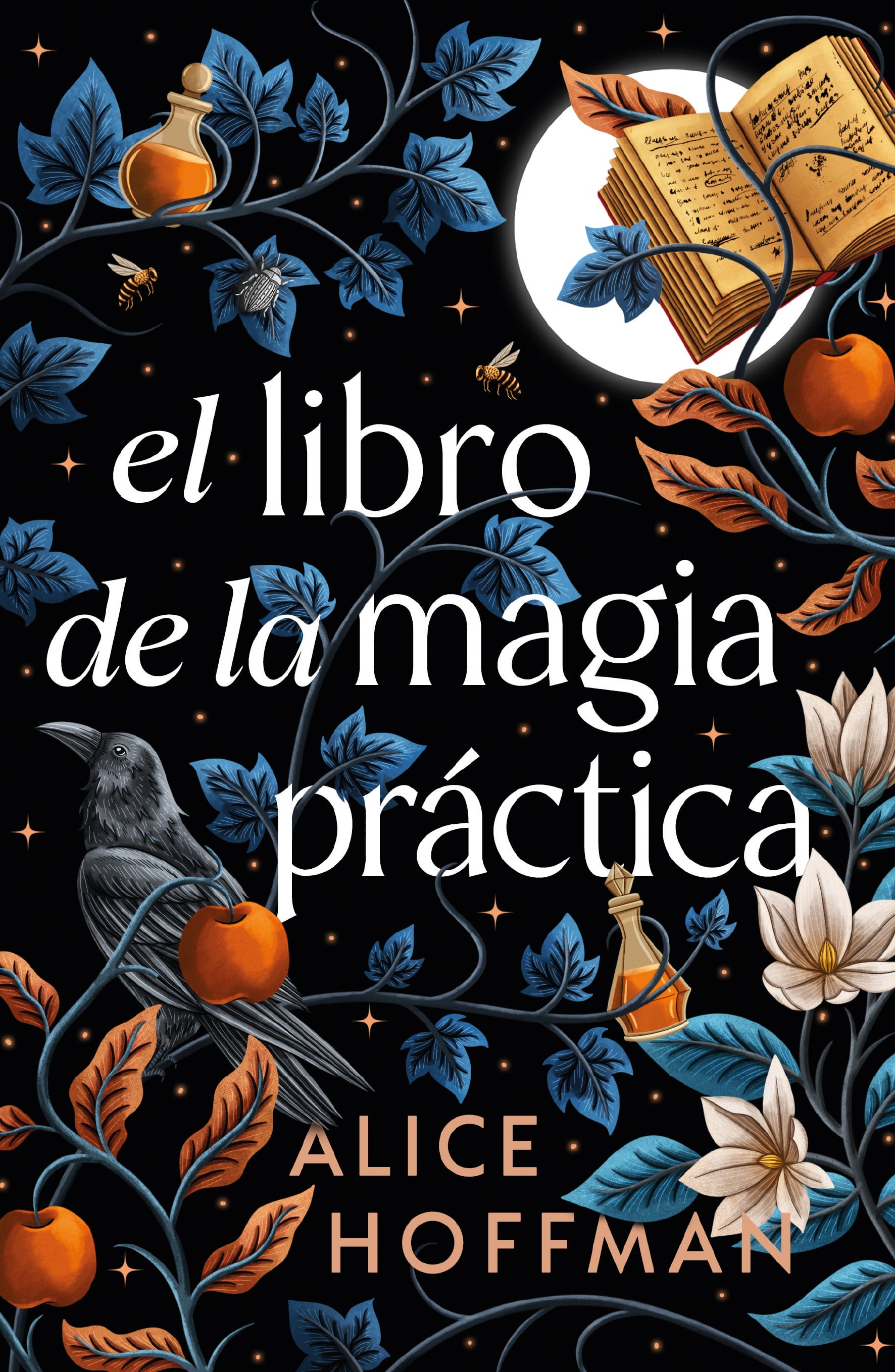 El libro de la magia práctica reúne a tres generaciones de la familia Owens en un viaje entre Massachusetts, París, Londres e Inglaterra para romper la maldición