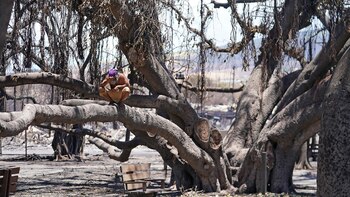 las-impactantes-imágenes-que-muestran-el-horror-de-los-incendios-en-Maui