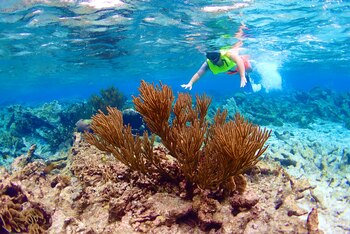 Una de las mejores zonas