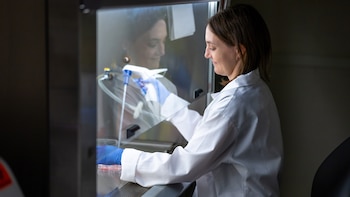 Por qué la elección del modelo de investigación es clave para mejorar los tratamientos para esclerosis múltiple