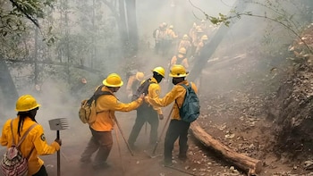 (Foto: Twitter Coordinación Nacional de