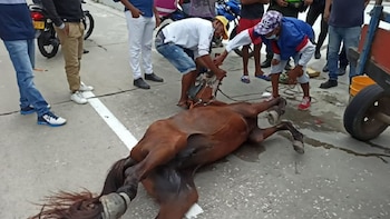 Con cerveza y sal, intentaron reanimar a cabello que se derrumbó tras ser víctima de maltrato.