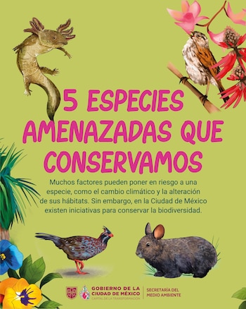 Las especies endémicas son aquellas que existen en un lugar y en ningún otro lado del mundo