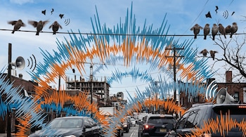 Vista de una calle urbana con coches, edificios en construcción, postes de servicios y pájaros posados en cables, con ondas sonoras azules y naranjas superpuestas y megáfonos.