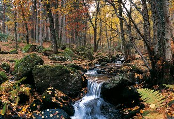 Sierra del Rincón, en Madrid
