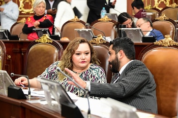 "La regulación de estas acciones