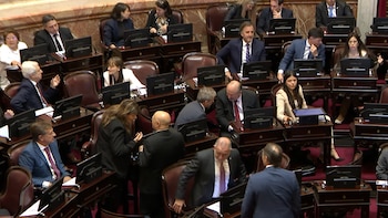 El Senado debate sobre pliegos militares y la designación de Crexell como embajadora