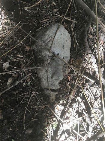 Cabeza de piedra gris desgastada, texturizada, semienterrada en tierra oscura y cubierta por ramas y hojas secas en el suelo del bosque, vista cenital