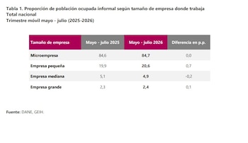 Las microempresas son las entidades donde mayor índice de informalidad se tiene - crédito Dane