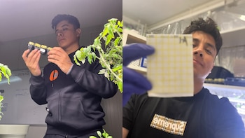 El joven investigador explicó cómo