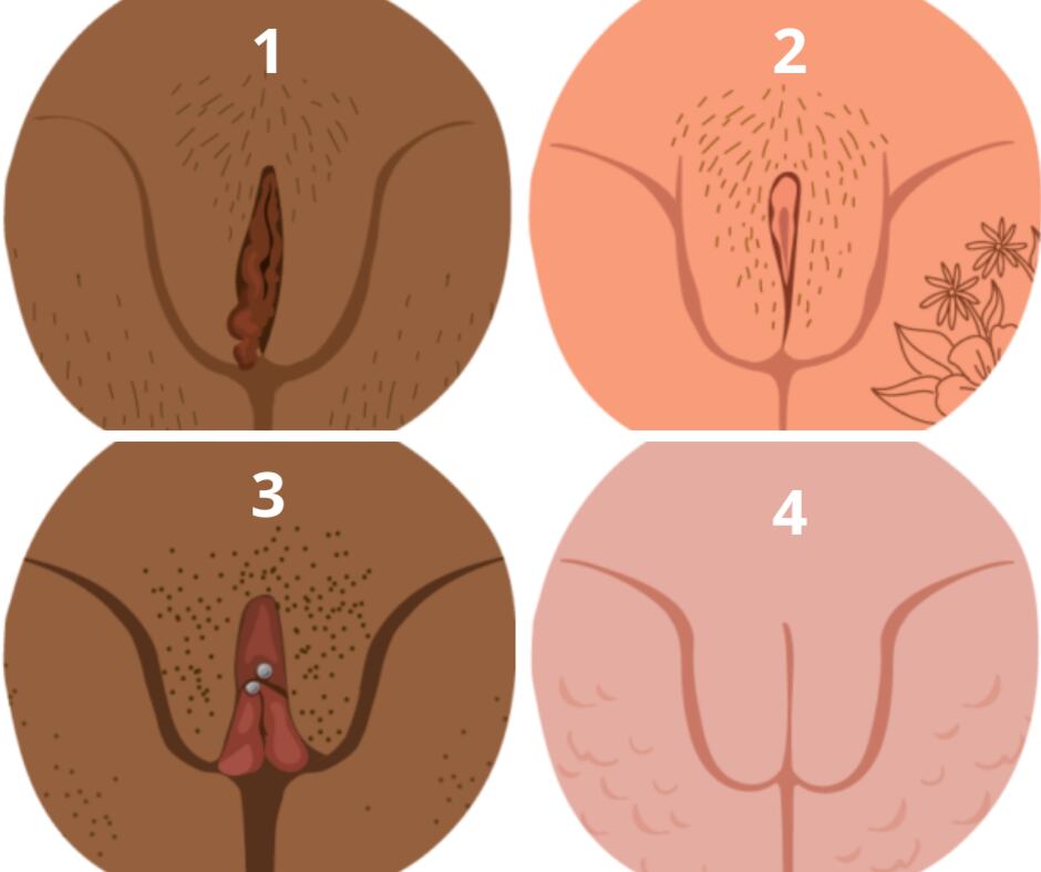 Cada vulva es única como lo es el rostro de cada mujer: las vulvas son tan variadas y tan diversas como lo son las mujeres (Healthline)