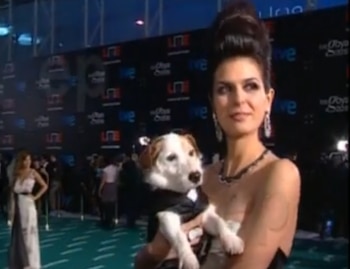 El perro Pancho en los